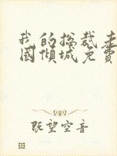 我的总裁老婆倾国倾城免费阅读封面