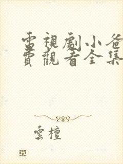 电视剧小爸爸免费观看全集国语版