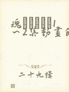 魂インサート1～2集动画的免费观看方