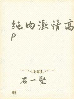纯肉激情高hnp