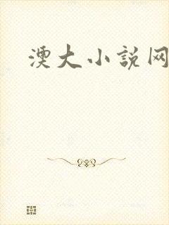 澳大小说网