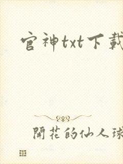 官神txt下载