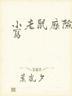 小老鼠历险记续写