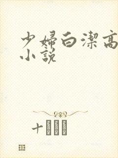 少妇白洁高义的小说