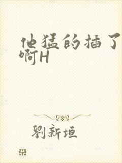 他猛的插了进去啊H封面