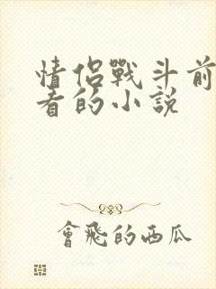 情侣战斗前适合看的小说