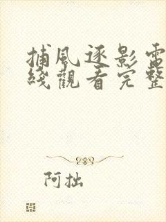 捕风逐影电影在线观看完整版免费观看高清