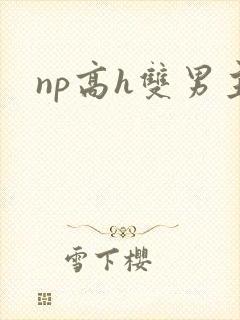np高h双男主