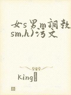 女s男m调教(sm,h)污文