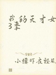 我的天才女友第3季