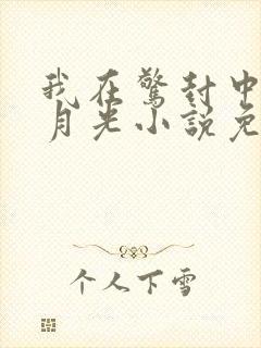 我在惊封中当白月光小说免费阅读