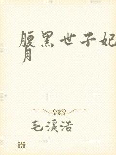 腹黑世子妃 沉月