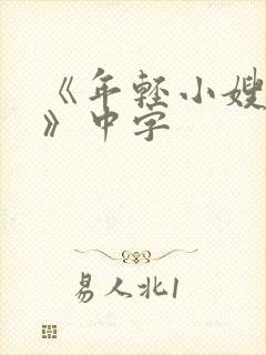 《年轻小嫂子4》中字