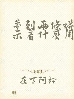 梦到两条蟒蛇预示着什么周公解梦封面