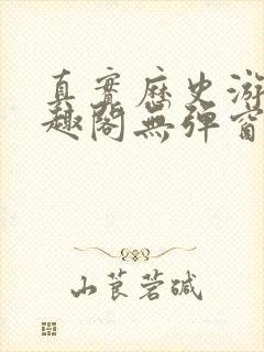 真实历史游戏笔趣阁无弹窗最新章节