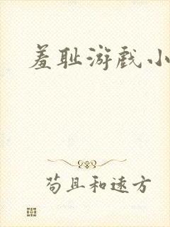 羞耻游戏小说封面