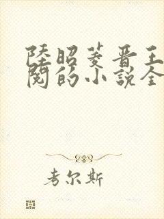 陆昭菱晋王周时阅的小说全文免费阅读无弹窗