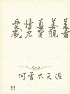 爱情真善美电视剧免费观看