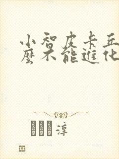 小智皮卡丘为什么不能进化封面