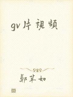 gv片视频