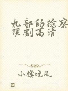 九部的检察官电视剧高清封面