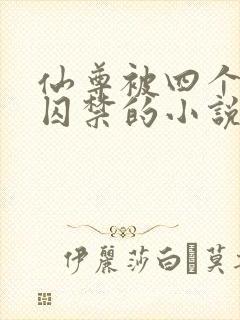 仙尊被四个徒弟囚禁的小说封面