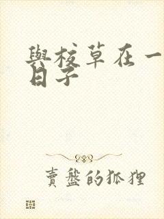 与校草在一起的日子