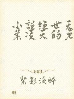 小说绝世天骄·叶凌天的免费阅读