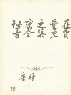 秘密之爱在线观看全集免费