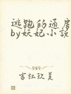 逃跑的通房丫鬟by妖妃小说