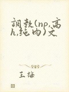 调教(np,高h,纯肉)文封面