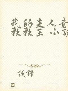 我的夫人竟是魔教教主 小说封面