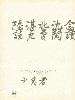 陆湛北沈念欢小说免费阅读讲了什么