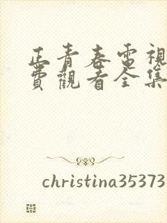 正青春电视剧免费观看全集完整版追剧网