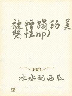 被糟蹋的美人(双性np)