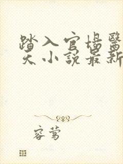 踏入官场医道问天小说最新章节