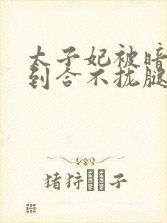 太子妃被暗卫C到合不拢腿封面