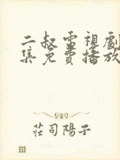 二叔电视剧46集免费播放下载