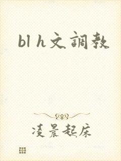 bl h文调教