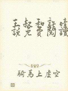 王叔和许晴的小说免费阅读无弹窗