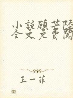 小说顾芒陆承洲全文免费阅读全文封面