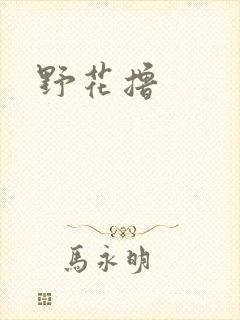 野花撸封面