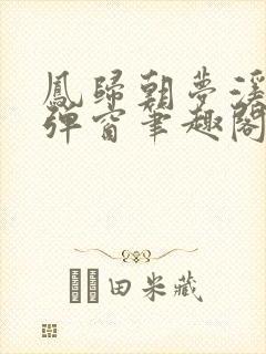 凤归朝梦溪石无弹窗笔趣阁