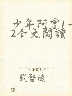 少年阿宾1一72全文阅读