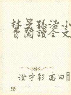 林曼孙浩小说免费阅读全文最新章节