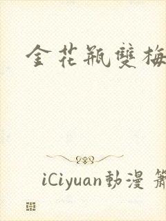金花瓶双梅花3封面