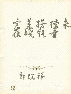 完美搭档未删版在线观看封面