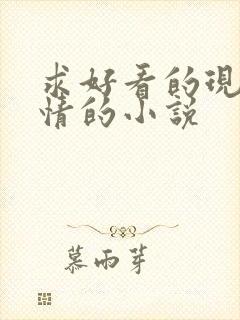 求好看的现代言情的小说封面