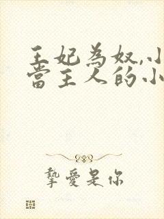 王妃为奴,小妾当主人的小说章节