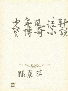 少年风流轩辕大宝传奇小说
